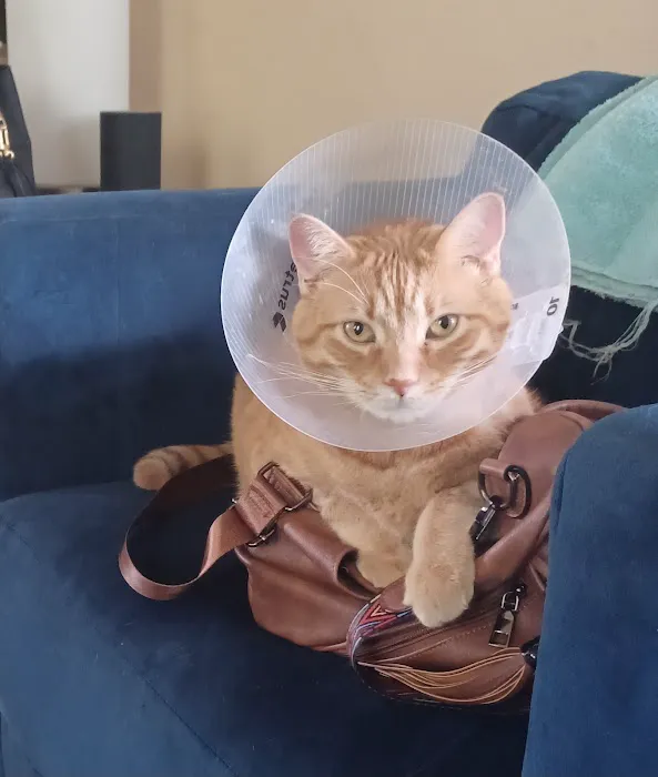 Hyde Park Veterinary Clinic 12