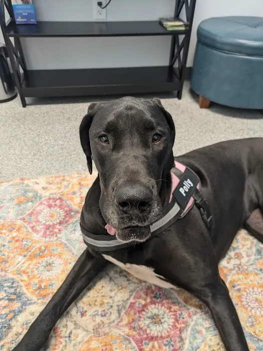 PetVet365 Pet Hospital Cincinnati/Hyde Park 12