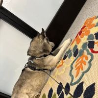 PetVet365 Pet Hospital Cincinnati/Hyde Park ico