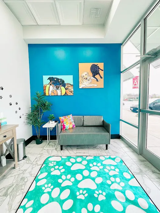 PetVet365 Pet Hospital Cincinnati/Hyde Park 12