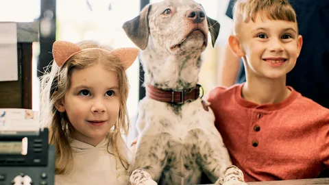 PetVet365 Pet Hospital Cincinnati/Hyde Park 12