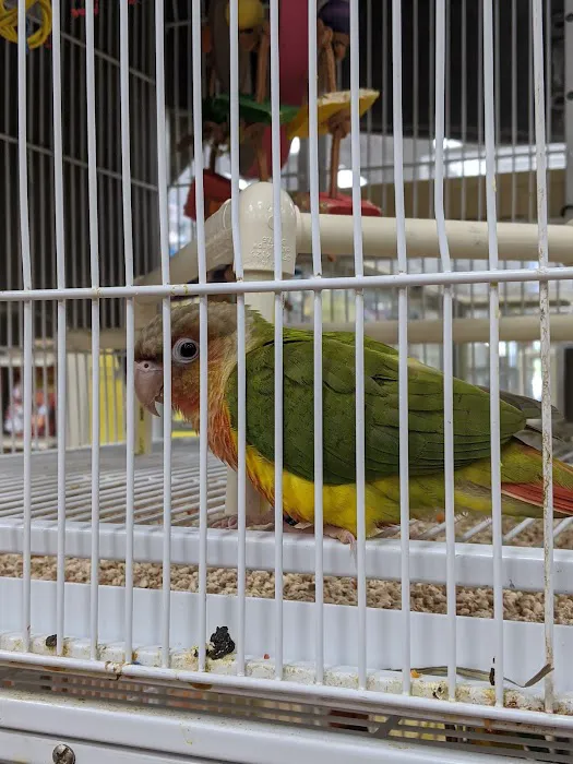 Pet Supermarket 8