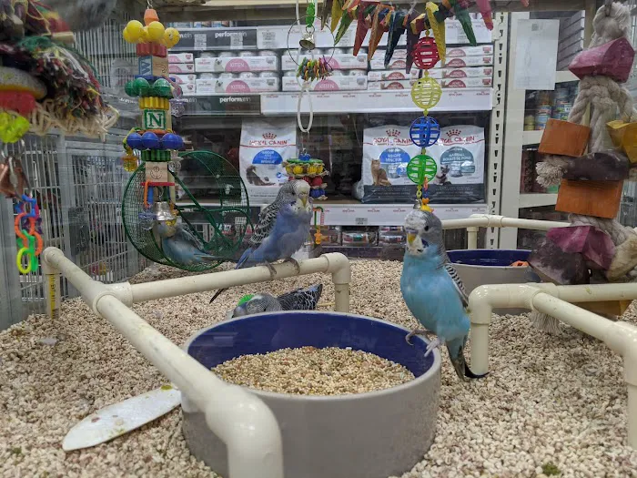 Pet Supermarket 6