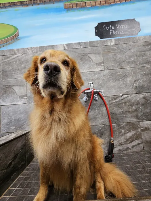 Pet Supermarket 5