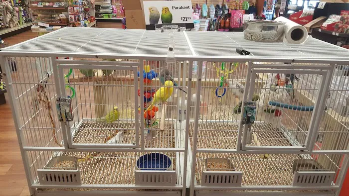Pet Supermarket 4