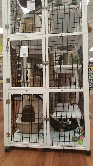 Pet Supermarket 1