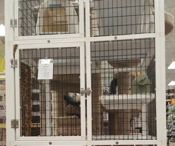 Pet Supermarket