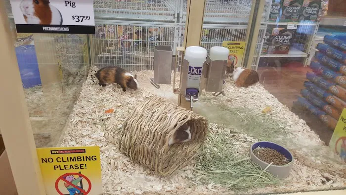 Pet Supermarket 3