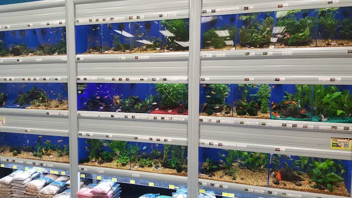 Pet Supermarket 2