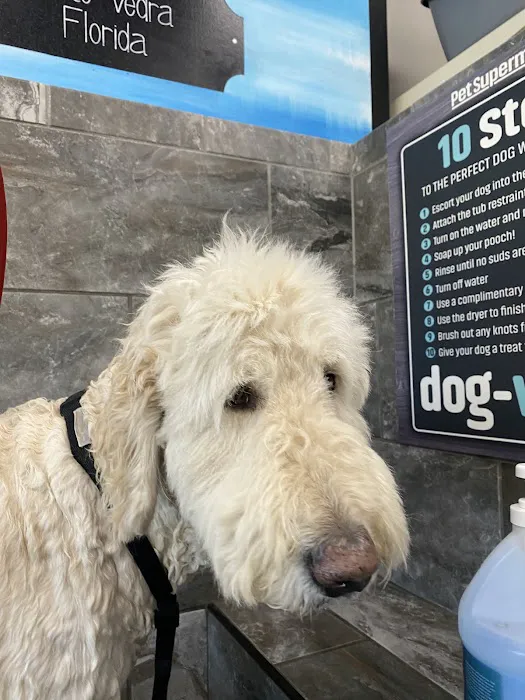 Pet Supermarket 10