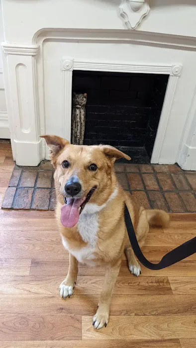 Baker House Animal Hospital 12