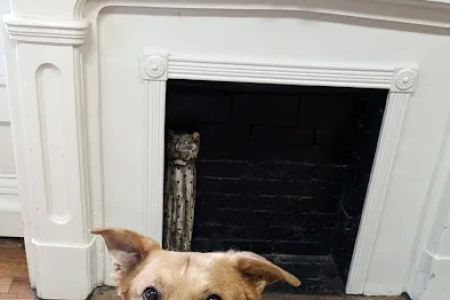 Baker House Animal Hospital