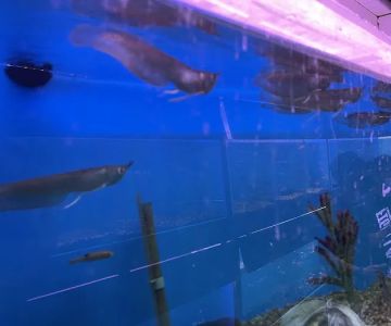 Pet world of Broward