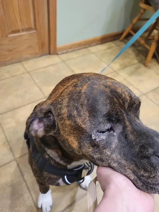 Custis Veterinary Hospital 12