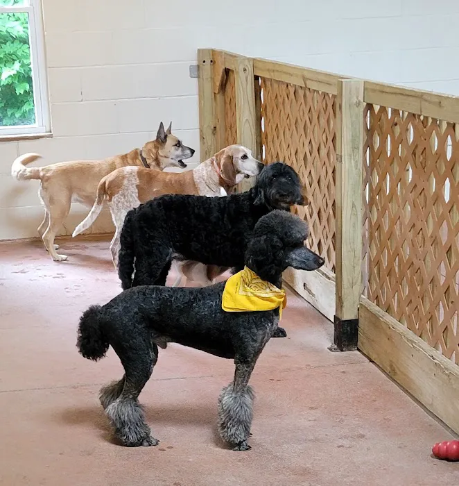 Eastgate Animal Hospital 12