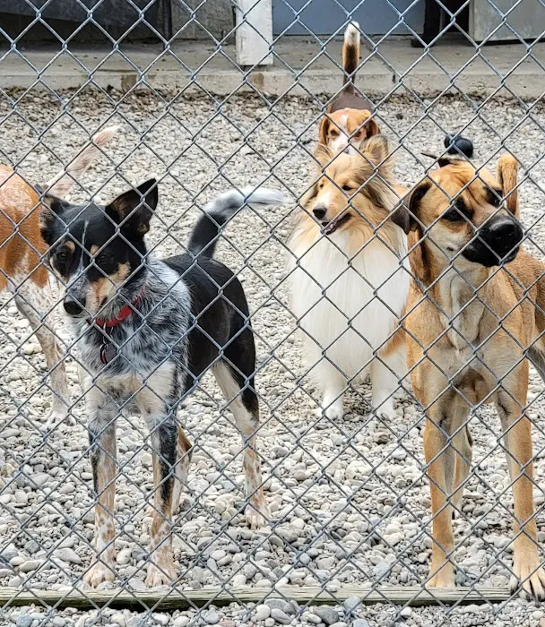 Eastgate Animal Hospital 12