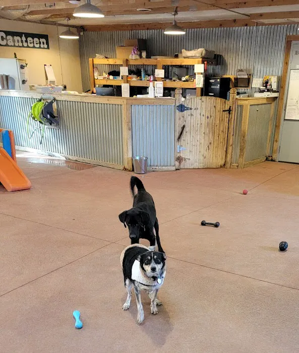 Eastgate Animal Hospital 12