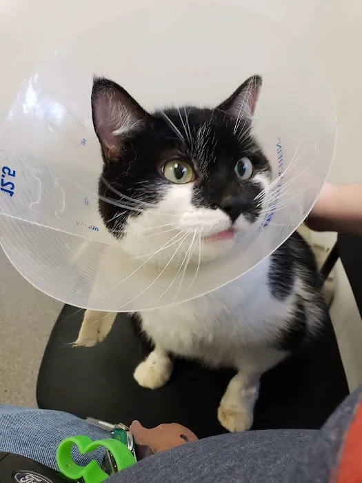 Eastgate Animal Hospital 12