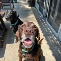Eastgate Animal Hospital ico
