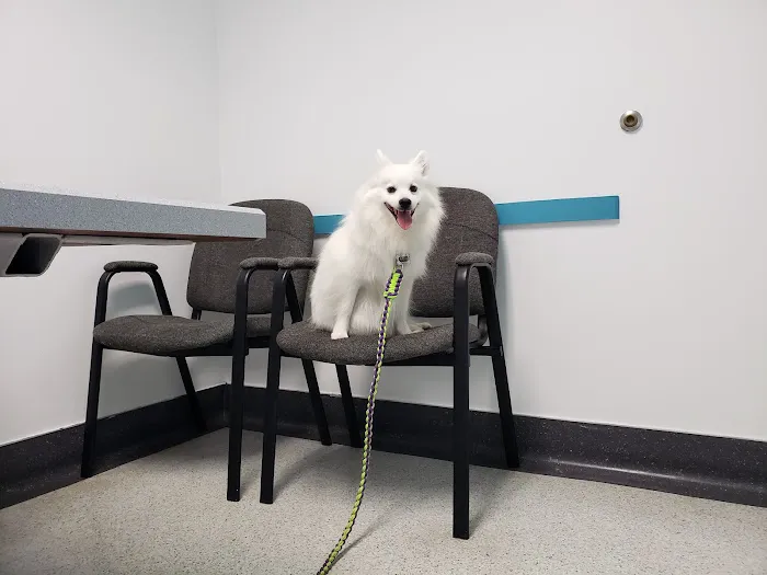 Animal Wellness Hospital 12