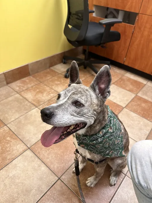 Banfield Pet Hospital 12