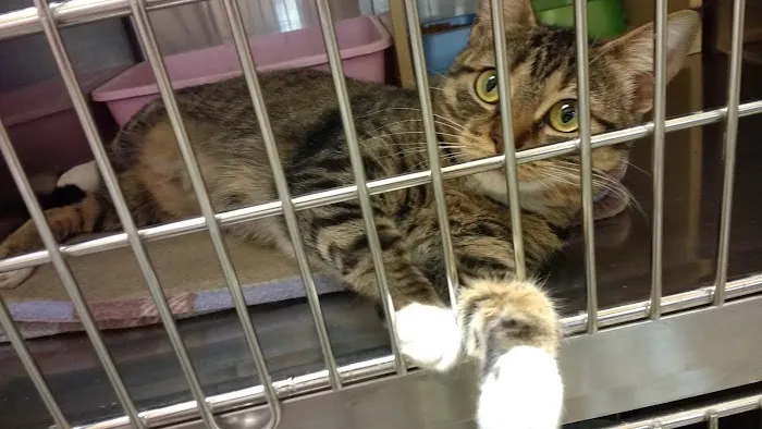 Banfield Pet Hospital 12