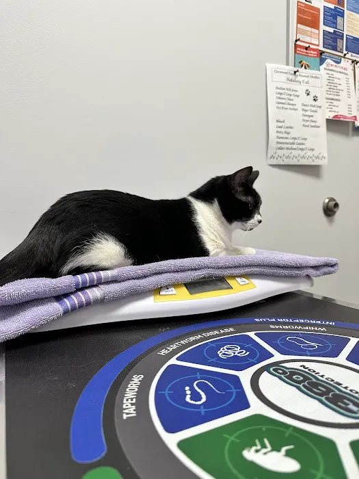 My Pet's Vet Eastgate 12