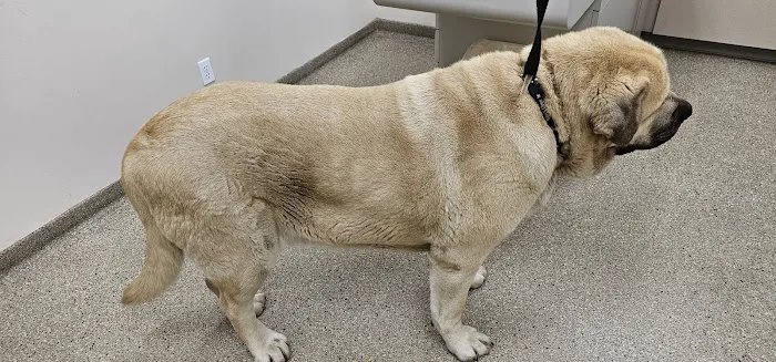 West Central Veterinary Services - Veedersburg 12