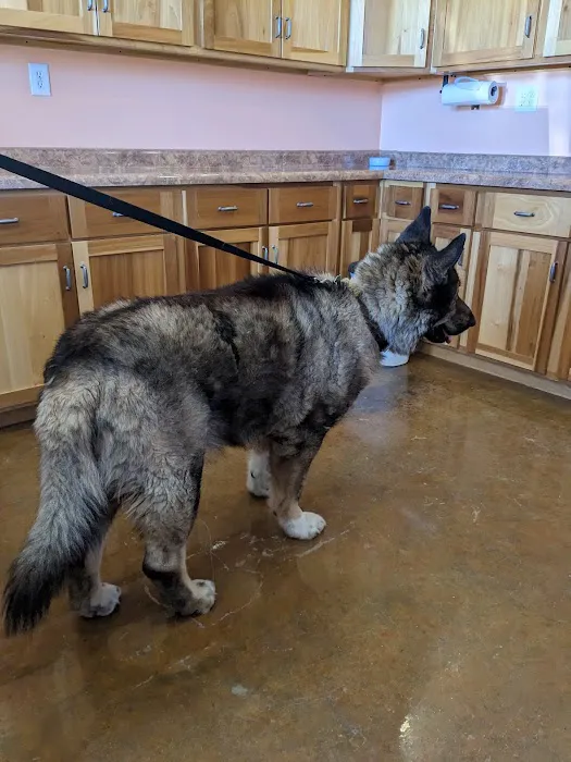 ACE Veterinary Clinic 12