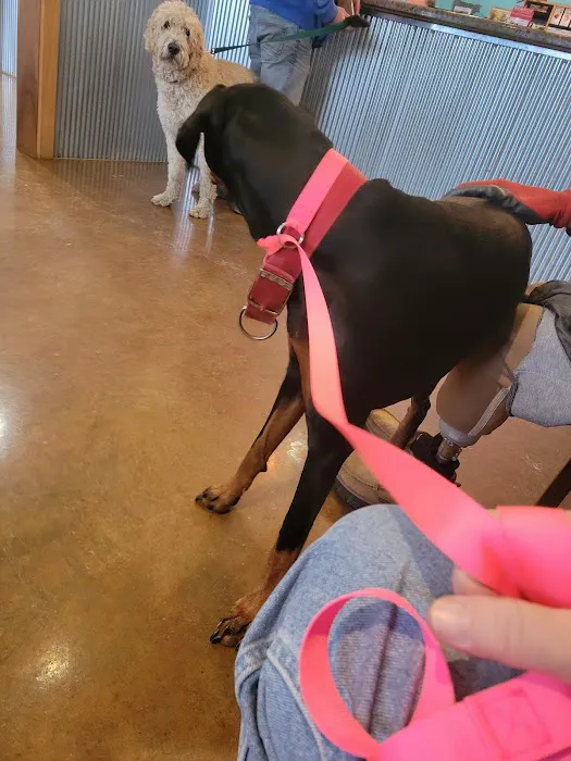 ACE Veterinary Clinic 12