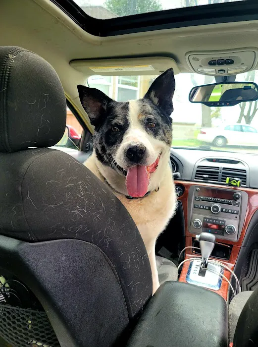 Rensselaer Pet Care 12