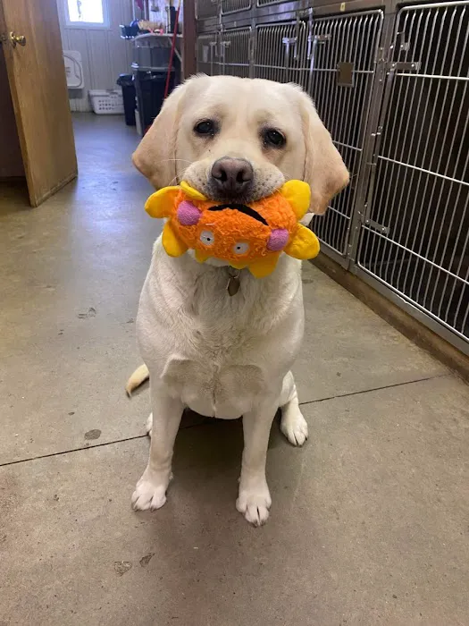 Rensselaer Pet Care 12