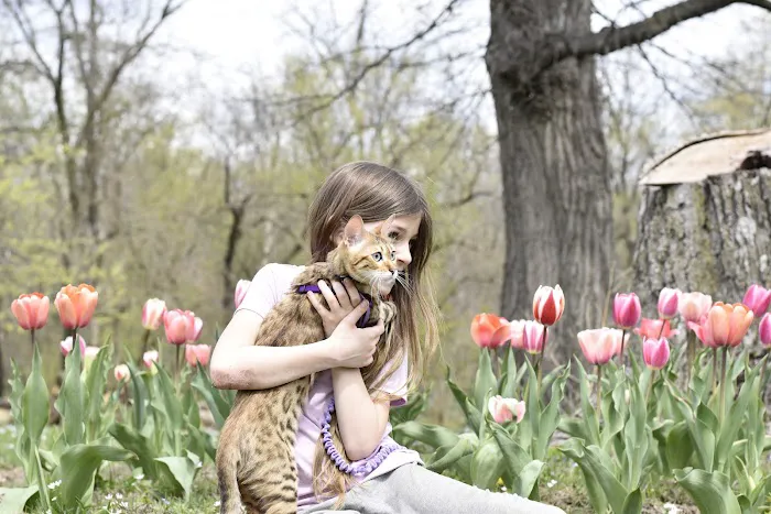 Bluebell Bottoms Farm 12