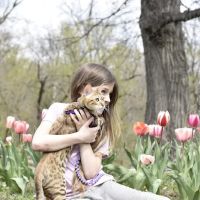 Bluebell Bottoms Farm ico