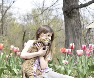 Bluebell Bottoms Farm