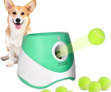 Pet palace shop