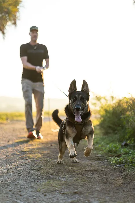 Mana's K9 Nutrition Market 7