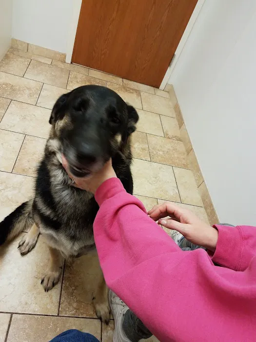 VCA County West Animal Hospital 7