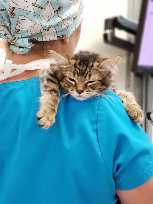 VCA County West Animal Hospital 9