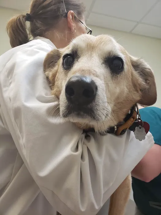 VCA County West Animal Hospital 6
