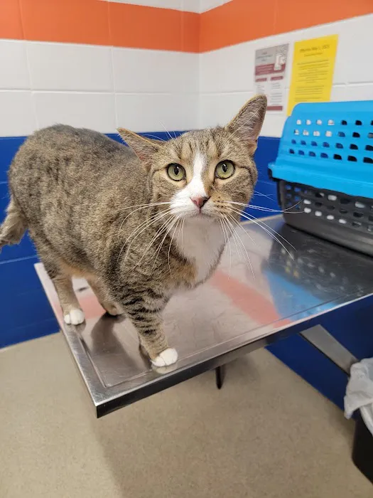 Kankakee Animal Hospital 12