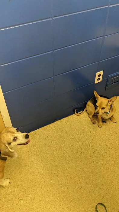 Kankakee Animal Hospital 12