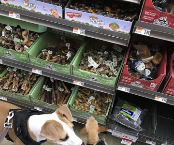 Pet Supplies Plus Atlantic Beach