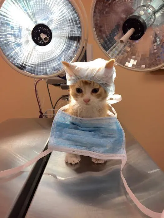 Capital City Vet Clinic 12