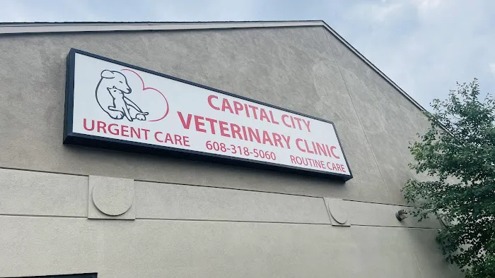 Capital City Vet Clinic 12