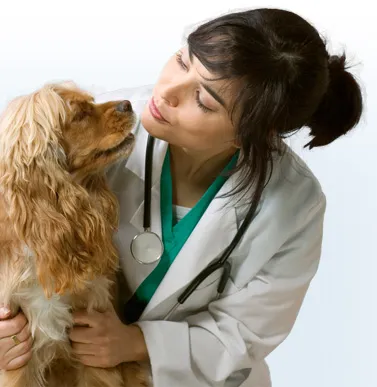 Token Creek Veterinary Clinic 12