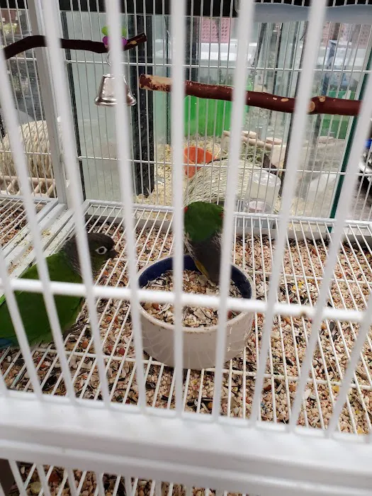 Pet Supermarket 4