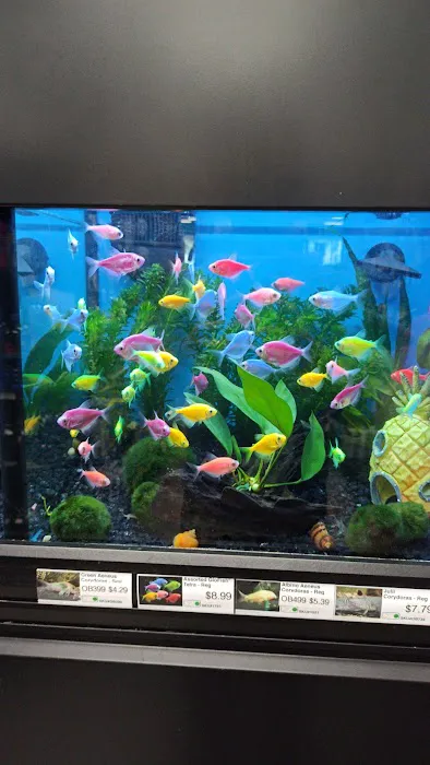Pet Supermarket 1