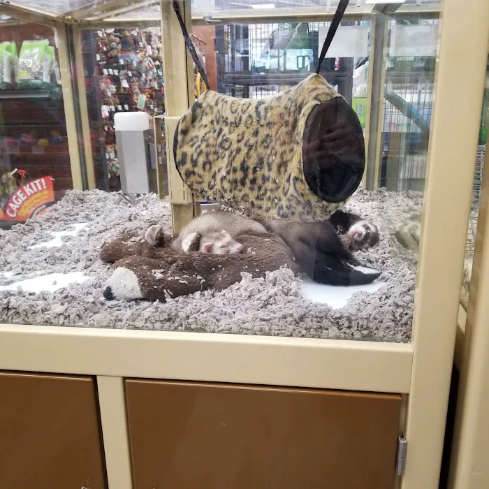 Pet Supermarket 3