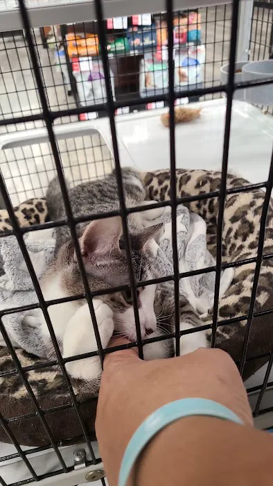 Pet Supermarket 10